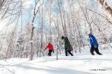 Year-Round hiking and trails